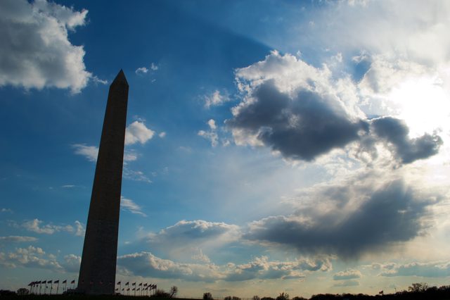 Cherry blossoms and the Washington Monument · 04